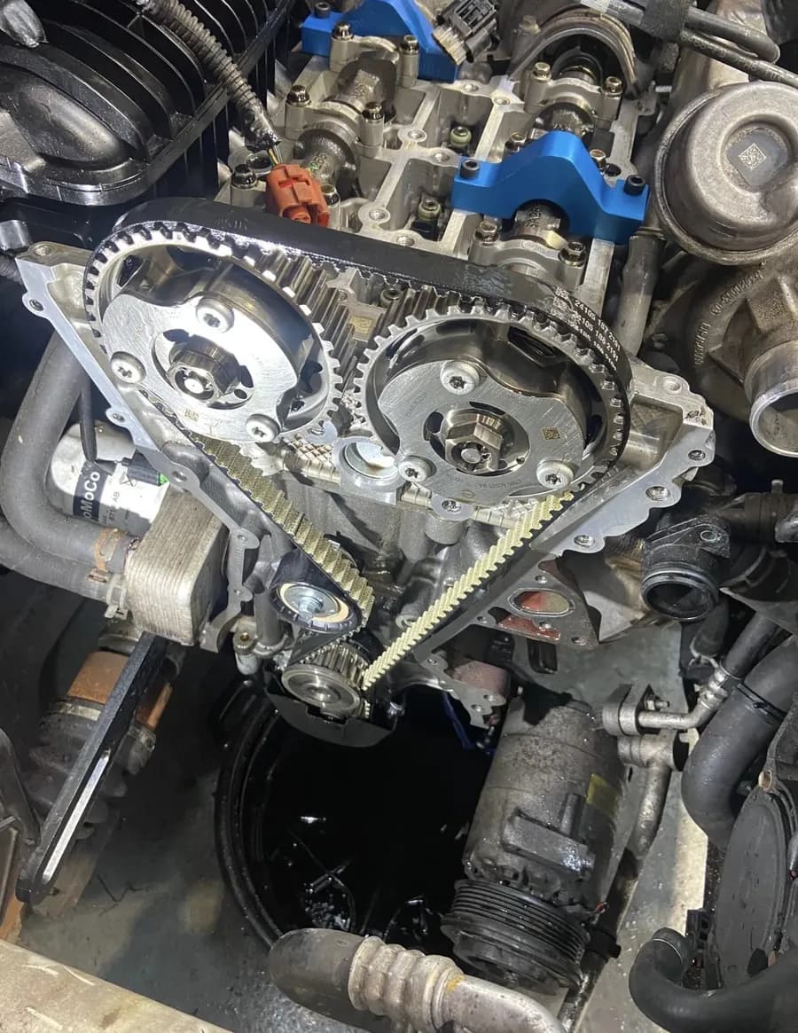 A wet timing belt exposed during a replacement, with the camshaft locking tools fitted